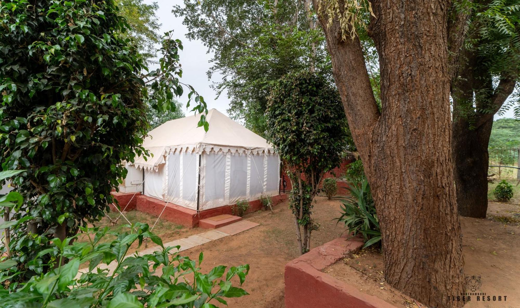 Ranthambore Tiger Resort Sawai Madhopur Room photo